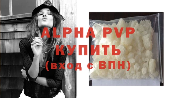 ПСИЛОЦИБИНОВЫЕ ГРИБЫ Новодвинск