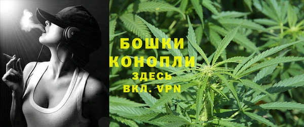 бошки Нея