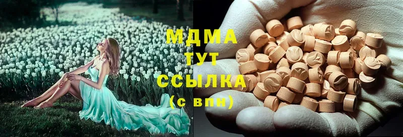 MDMA Molly  где купить   Нелидово 